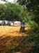 112-1292_IMG
